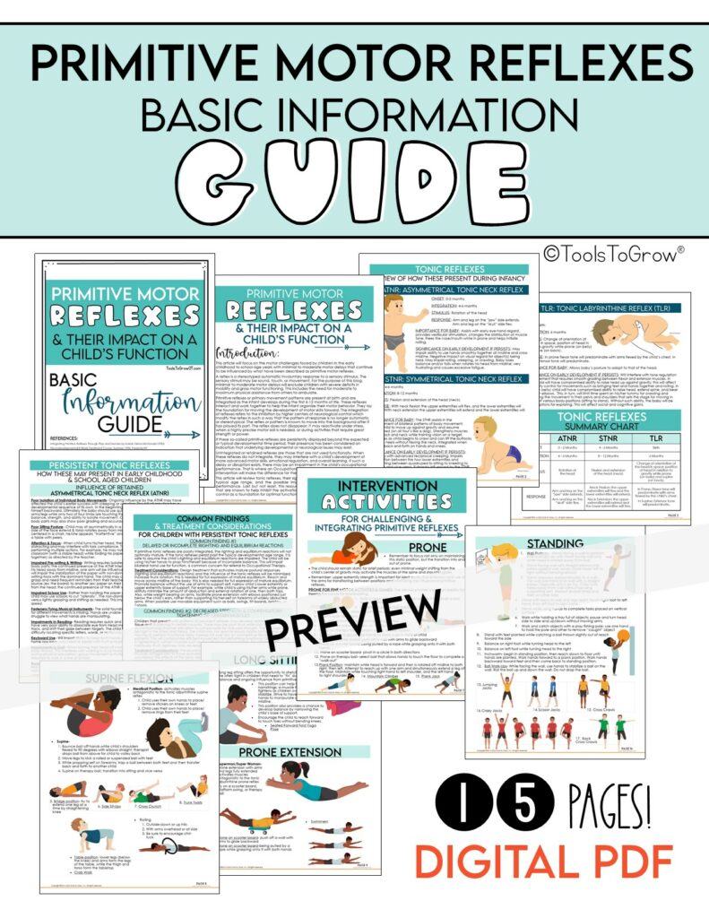 Reflex Packet – Digital Download – Shop Tools To Grow
