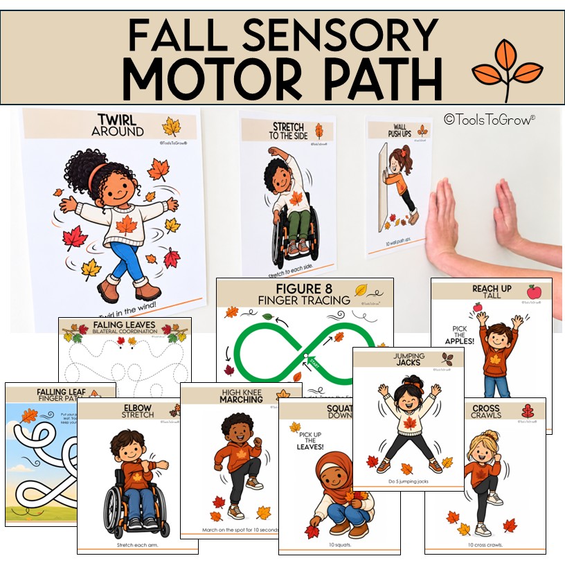 FALL: Sensory Motor Path
