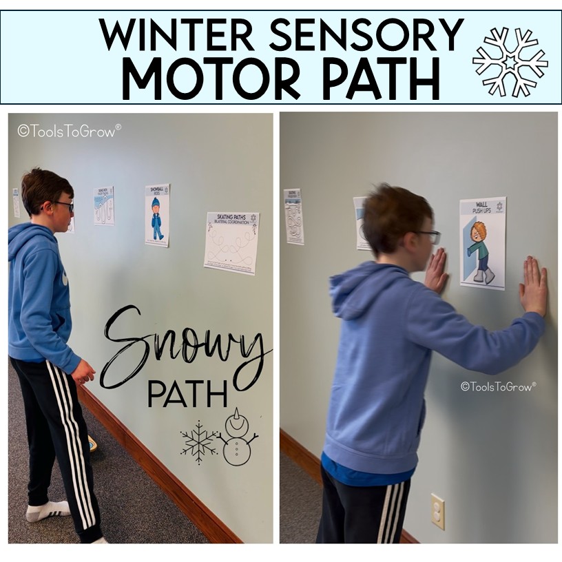 WINTER: Sensory Motor Path