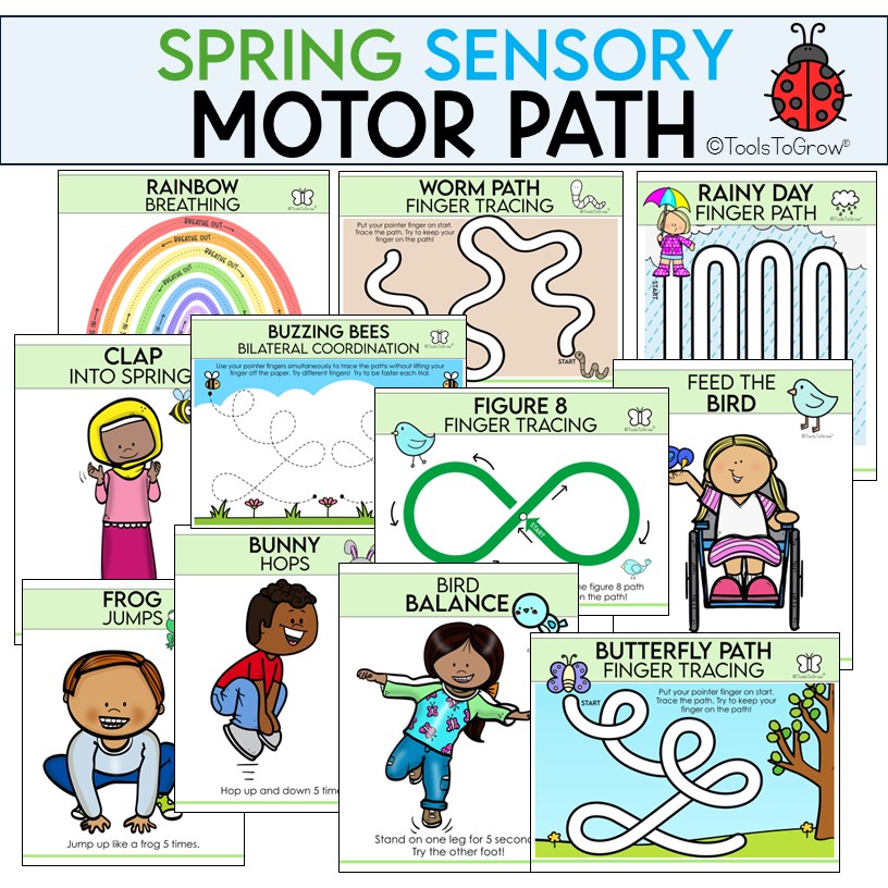 SPRING: Sensory Motor Path